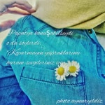 Aynur