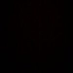 Samet