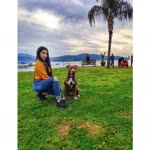 Melek