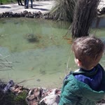 Mikail