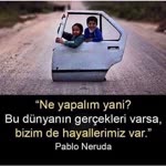 Ayşegül