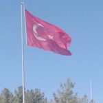 Nazif