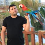 Rıdvan