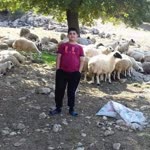 Mehmet
