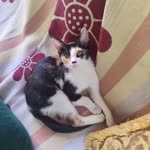 Eylül
