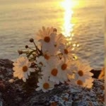 Özlem