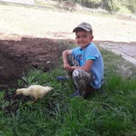Serdar