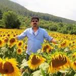 Dursun