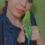Derya