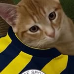 Gülyaz