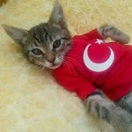 Rabia