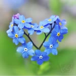 Beyza