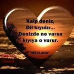 Aysun
