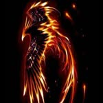 Hasan