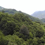 Nurdoğan