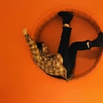 Filiz