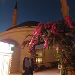 Ayşegül