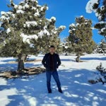 Bekir
