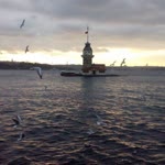 Adamın