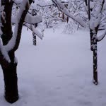 Berre