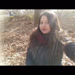 Buse