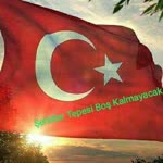 Halil