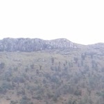 Hacı