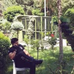 Onur