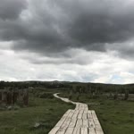 Deniz