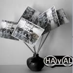 Hamdi