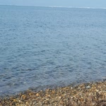 Elif