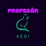 Profesör