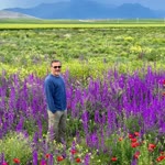 Orhan