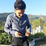 Selim