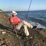 Erol