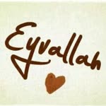 Erhan