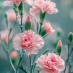 Dilek