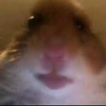 Peskolk