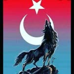 Bekir