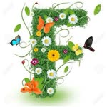 Funda
