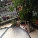 Tahsin