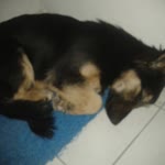 Adnan