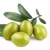 Ege