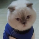 Zeynep