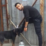 İlhan