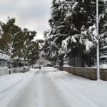 Av.