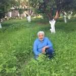 Mehmet