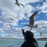 Emre