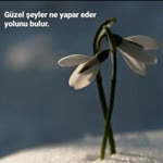 Yılmaz