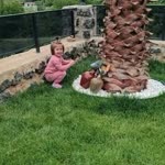 Elif